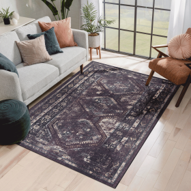 3x5 Area Rug, Washable Rug, Low-Pile, Non-Slip, Non-Shedding, Foldable, Kid & Pet Friendly - Area Rugs for living room, bedroom, kitchen, dining room
