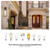 20"(H) Set of 2 Modern Outdoor Wall Lanterns with Black Metal Frame and Clear Glass, Weatherproof Wall Sconces for Porch, Garage, or Entryway Lighting