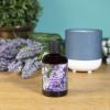 (3 pack) Universal Fragrance Oil, Lilac Breeze, 5 fl oz, for use with Fragrance Oil Diffusers, Fragrance Warmers, Potpourri, and Wicking Fragrance Dif