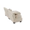 Cloud Couch 2 Seater Sofa for Living Room, Chenille 2 - Seat sofa with 2 Lumbar pillows and 2 throw pillows