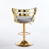 Modern Bar Chairs Set of 2 with Gold Metal Legs